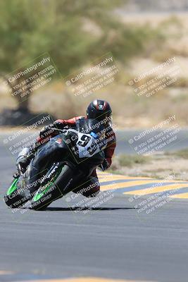 media/May-14-2023-SoCal Trackdays (Sun) [[024eb53b40]]/Turn 5 Tree of Life (1125am)/